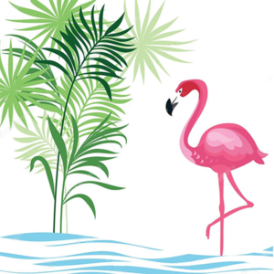 flamant rose